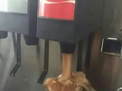 Foto Kocak yang Tidak Masuk di Akal, Bikin Nyengir