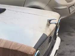 Foto Kocak yang Tidak Masuk di Akal, Bikin Nyengir