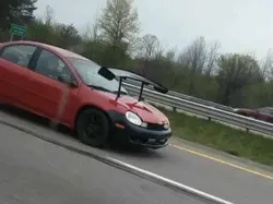 Foto Kocak yang Tidak Masuk di Akal, Bikin Nyengir