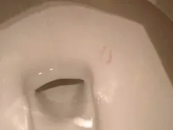 Foto Kocak yang Tidak Masuk di Akal, Bikin Nyengir