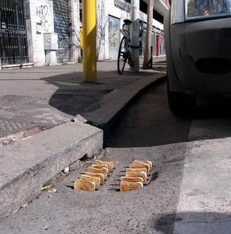 Foto kocak