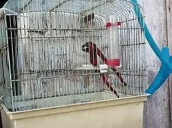 Foto Kocak yang Tidak Masuk di Akal, Bikin Nyengir