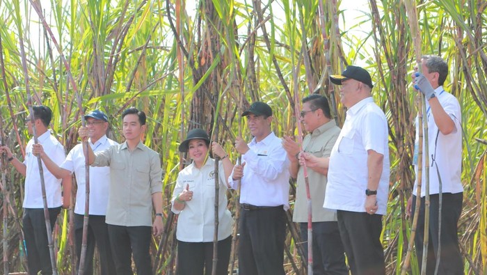 Wakil Presiden Gibran Rakabuming Raka menargetkan Indonesia harus swasembada gula pada 2026 dan gula industri 2028. Karena menurutnya Indonesia perlu benar-benar mandiri dalam hal pengadaan pangan.