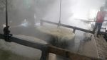 Gula Awur Tradisional Tulungagung, Manisnya Warisan dari Dapur Rakyat
