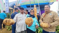 Pameran hasil pertanian tersebut dimulai Selasa (8/7/2025) hingga 3 hari ke depan di Lapangan Bungursari, Desa Margaharja, Kecamatan Sukadana, Kabupaten Ciamis. Ada 27 stan yang masing-masing memamerkan hasil pertanian unggulan dari setiap Kecamatan di Kabupaten Ciamis. Pameran pertanian tersebut dibuka langsung oleh Bupati Ciamis Herdiat Sunarya