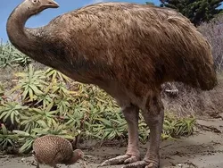 Perbandingan Hewan Punah dengan Kerabatnya yang Masih Hidup di Bumi