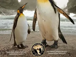 Perbandingan Hewan Punah dengan Kerabatnya yang Masih Hidup di Bumi