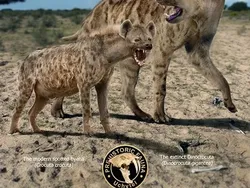 Perbandingan Hewan Punah dengan Kerabatnya yang Masih Hidup di Bumi