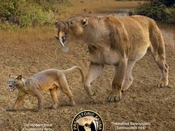 Perbandingan Hewan Punah dengan Kerabatnya yang Masih Hidup di Bumi