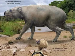 Perbandingan Hewan Punah dengan Kerabatnya yang Masih Hidup di Bumi