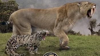 Macan dahan dan macan tutul bertaring pedang. Foto: Prehistoric Fauna via BrightSide