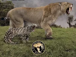 Perbandingan Hewan Punah dengan Kerabatnya yang Masih Hidup di Bumi