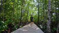 Warga melintas di kawasan mangrove Desa Maileppet, Siberut Selatan, Kepulauan Mentawai, Sumatera Barat, Selasa (8/7/2025). Foto: ANTARA FOTO/Iggoy el Fitra