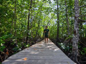 Hijau Mangrove Mentawai, Harapan Baru Wisata Berkelanjutan