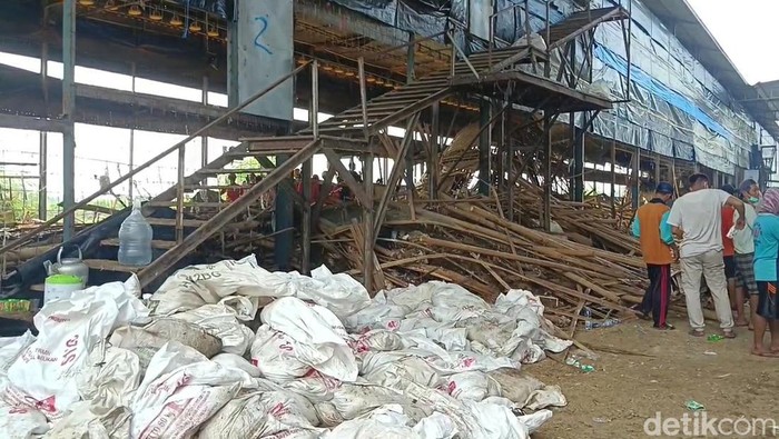 Penampakan kandang ayam yang roboh di Bulusari, Bulakamba, Brebes, Selasa (8/7/2025). Seorang pekerja diduga tertimbun di dalamnya.