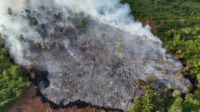 Lokasi lahan terbakar di Siak, Riau. (Dok Istimewa)