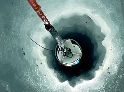 Makhluk Mirip Lobster Ditemukan di Kedalaman Es Antartika