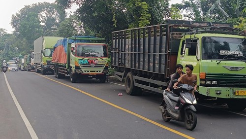 Warga mengamati kondisi jalan amblas di jalur Denpasar-Gilimanuk, Desa Bajera, Tabanan, Bali, Selasa (8/7/2025). Jalur yang merupakan akses utama menuju ke Pulau Jawa tersebut sejak Senin (7/7) hingga saat ini ditutup akibat jalan amblas dengan kedalaman sekitar 6 meter dan menyebabkan kemacetan lalu lintas. ANTARA FOTO/Nyoman Hendra Wibowo