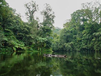 Pencinta Alam Wajib ke Sini, Ranu Darungan Punya Anggrek Langka dan Spot Birdwatching