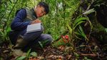 Pencinta Alam Wajib ke Sini, Ranu Darungan Punya Anggrek Langka dan Spot Birdwatching