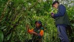 Pencinta Alam Wajib ke Sini, Ranu Darungan Punya Anggrek Langka dan Spot Birdwatching
