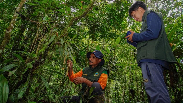 Pencinta Alam Wajib ke Sini, Ranu Darungan Punya Anggrek Langka dan Spot Birdwatching Foto udara danau Ranu Darungan di Pronojiwo, Lumajang, Jawa Timur, Selasa (8/7/2025). Kawasan Taman Nasional Bromo Tengger Semeru (TNBTS) yang memiliki sejumlah fasilitas wisata minat khusus seperti empat spot pengamatan burung, taman edukasi dan persemaian anggrek, camp ground dengan keanekaragam hayati dan ekosistem hutan Ranu Darungan tersebut merupakan salah satu rekreasi wisata alam berbasis pendidikan dan konservasi. ANTARA FOTO/Irfan Sumanjaya