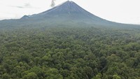 Selain taman anggrek dan spot birdwatching, TNBTS juga menyediakan fasilitas lain yang mendukung wisata edukatif, seperti taman edukasi, persemaian anggrek, serta area perkemahan (camp ground) yang menyatu dengan alam. ANTARA FOTO /Irfan Sumanjaya