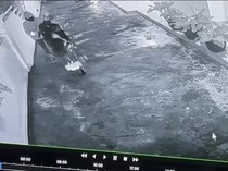 Maling Motor di Palembang Terekam CCTV, Pelaku Angkat Motor Korban