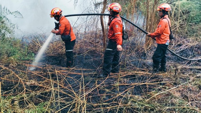 20 Personel PT Arara Abadi Berjibaku Siang-Malam Padamkan Karhutla di Siak