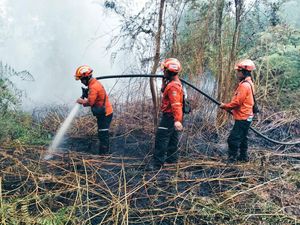 20 Personel PT Arara Abadi Berjibaku Siang-Malam Padamkan Karhutla di Siak