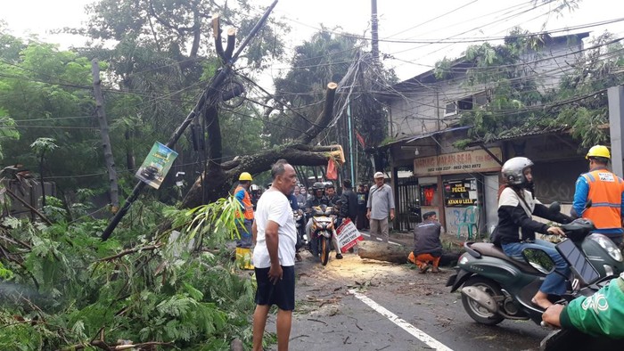 Pohon Tumbang di Ciputat Timur