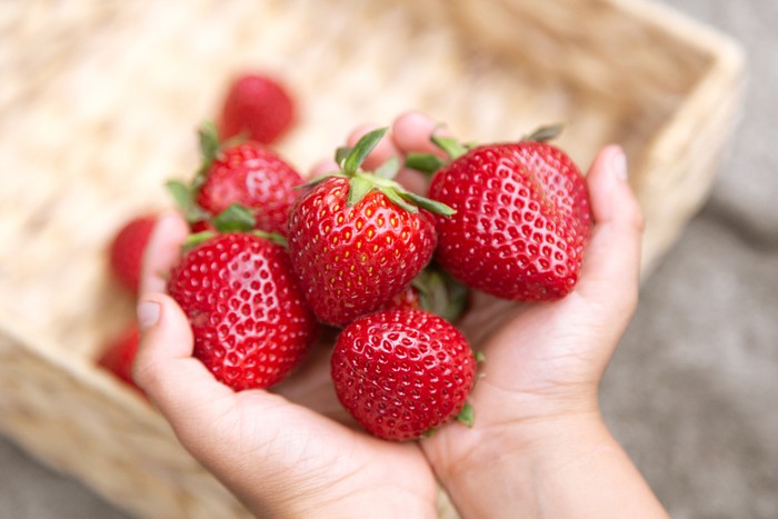 Makan Strawberry dan Kandungan Manfaatny
