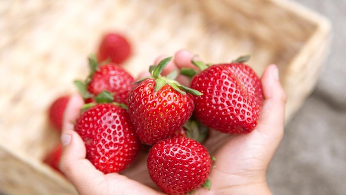 Makan Strawberry dan Kandungan Manfaatny