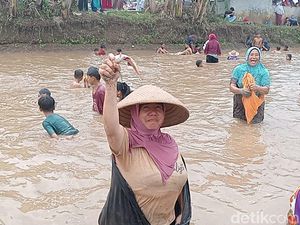 Serunya Ruwat Bumi di Tanjunganom Banjarnegara, Warga Berebut Lele di Kolam