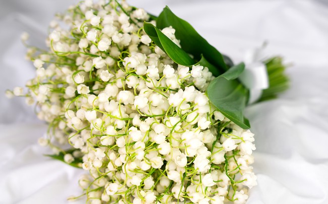 Buket bunga Lily of the Valley.
