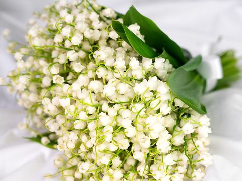 Buket Bunga Lily of the Valley Buket bunga Lily of the Valley.