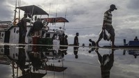 Sejumlah pekerja memindahkan ikan cakalang saat bongkar muat hasil tangkapan nelayan di Tempat Pelelangan Ikan (TPI) Higienis Dufa-Dufa, Ternate, Maluku Utara, Rabu (9/7/2025). ANTARA FOTO/Andri Saputra