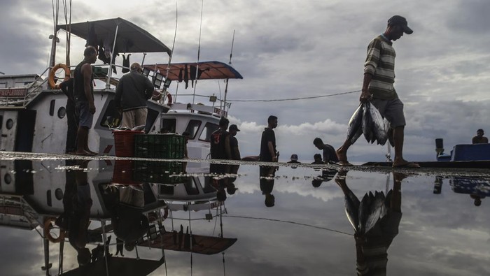 Cuaca Buruk, Tangkapan Ikan Cakalang di Ternate Menyusut Drastis Sejumlah pekerja memindahkan ikan cakalang saat bongkar muat hasil tangkapan nelayan di Tempat Pelelangan Ikan (TPI) Higienis Dufa-Dufa, Ternate, Maluku Utara, Rabu (9/7/2025). Akibat cuaca buruk dan gelombang tinggi yang mencapai 1,5 hingga 2,5 meter di wilayah perairan Maluku Utara, sejumlah nelayan di daerah itu terpaksa membatasi area pencarian dan memperpendek waktu melaut sehingga hasil tangkapan ikan cakalang mengalami penurunan dari biasanya semula dapat menangkap rata-rata berkisar 7-8 ton menjadi 3 ton setiap kali melaut dan menyebabkan harga ikan cakalang naik dari Rp30.000 menjadi Rp35.000 per kilogram.ANTARA FOTO/Andri Saputra