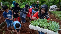 Anak-anak menanam bibit kembang kol saat edukasi urban farming di KWT Gemas Implan, Jatiuwung, Kota Tangerang, Banten,Â Rabu (9/7/2025). ANTARA FOTO/Putra M. Akbar