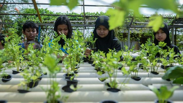 Anak-anak menunjukkan bibit tanaman seledri saat edukasi urban farming di KWT Gemas Implan, Jatiuwung, Kota Tangerang, Banten, Rabu (9/7/2025). Kegiatan tersebut untuk mengedukasi anak-anak dalam memahami siklus hidup tanaman dan menumbuhkan kepedulian terhadap pelestarian lingkungan. ANTARA FOTO/Putra M. Akbar/bar