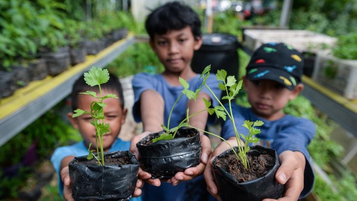 Anak-anak menunjukkan bibit tanaman seledri saat edukasi urban farming di KWT Gemas Implan, Jatiuwung, Kota Tangerang, Banten, Rabu (9/7/2025). Kegiatan tersebut untuk mengedukasi anak-anak dalam memahami siklus hidup tanaman dan menumbuhkan kepedulian terhadap pelestarian lingkungan. ANTARA FOTO/Putra M. Akbar/bar