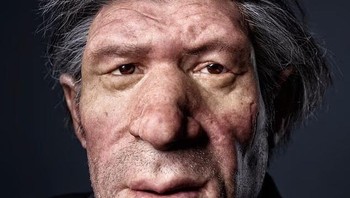 Rekonstruksi dari Museum Neanderthal, Jerman, ini menunjukkan seperti apa rupa manusia Neanderthal di zaman modern. Foto: ChatGPT via Mail Online