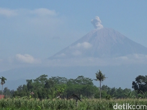 Legenda Mahameru dan Letusan Dahsyat Gunung Semeru