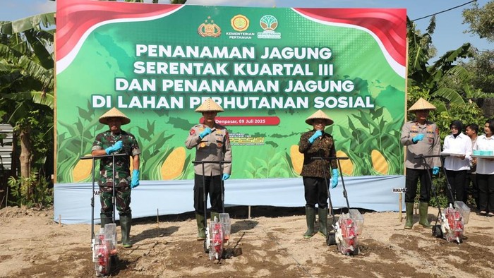 Kapolda Bali, Irjen Daniel Adityajaya, menanam jagung di lingkungan Asrama Polisi Abian Timbul, Denpasar, Rabu (9/7/2025). (Dok. Polda Bali)