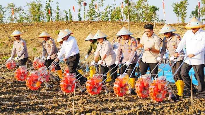 Kapolri Jenderal Listyo Sigit Prabowo melaksanakan penanaman jagung di lahan Perhutan Sosial, Hutan Selo Lestari, Grobogan, Jawa Tengah