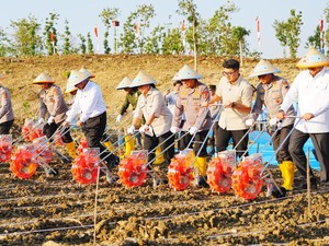 Lagi! Kapolri Tanam Jagung Serentak untuk Dukung Swasembada Pangan