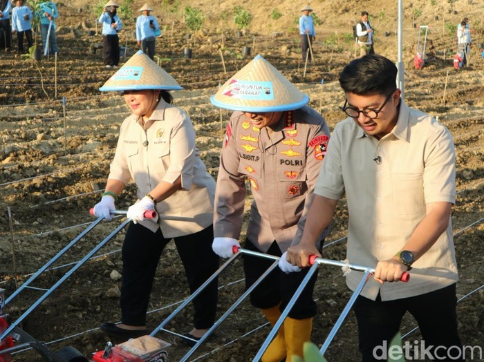 Kapolri Jenderal Listyo Sigit Prabowo menanam jagung di lahan perhutanan sosial Desa Selojari, Kabupaten Grobogan, Rabu (9/7/2025).