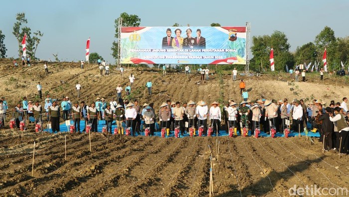Kapolri Jenderal Listyo Sigit Prabowo menanam jagung di lahan perhutanan sosial Desa Selojari, Kabupaten Grobogan, Rabu (9/7/2025).