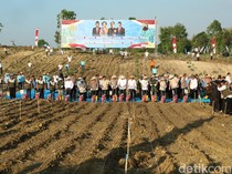 Tanam Jagung Serentak di Grobogan, Kapolri hingga Mentan Hadir