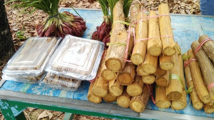Kayu bajakah.